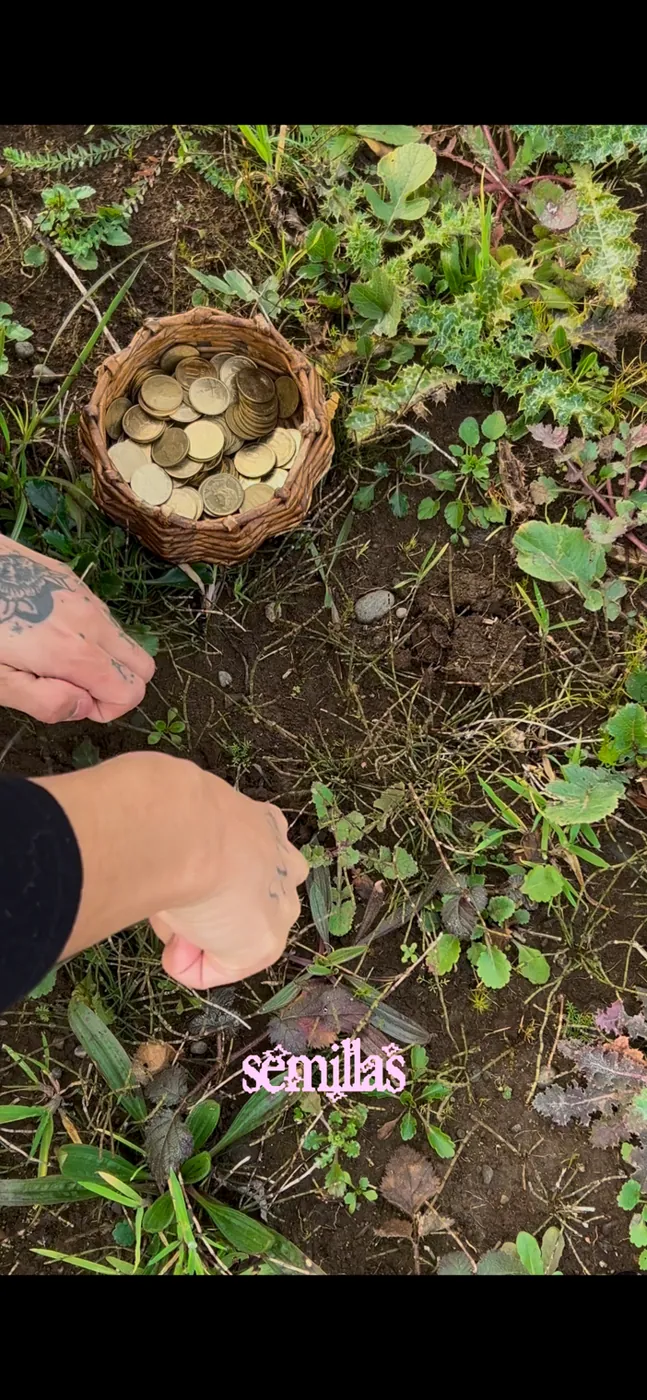 Monedas y tierra